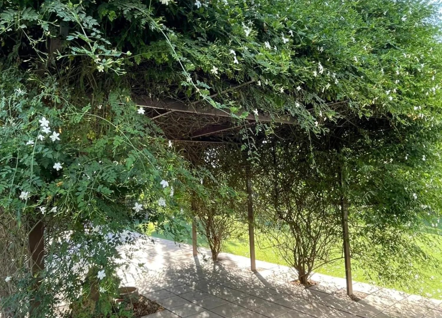 La Mesa Villa Felix